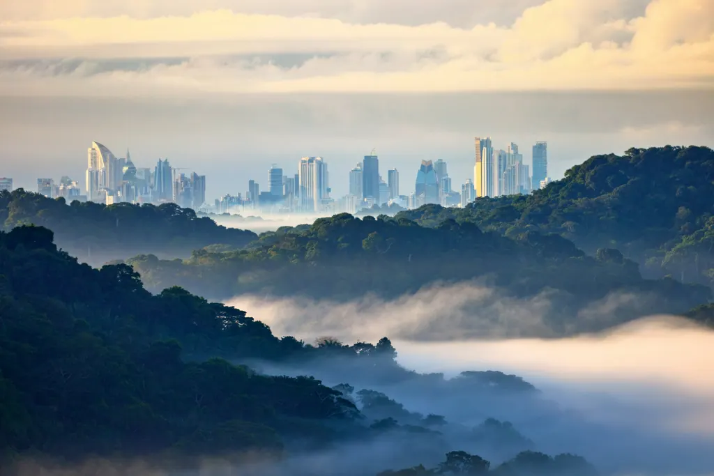 Panama City rising above the rainforest and morning fog